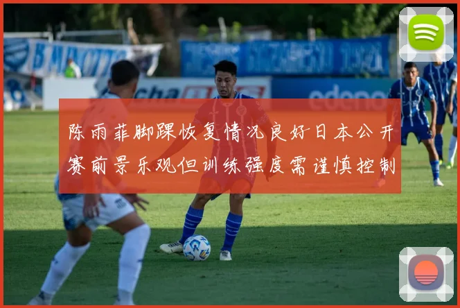 陈雨菲脚踝恢复情况良好日本公开赛前景乐观但训练强度需谨慎控制